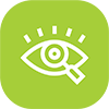 vision icon